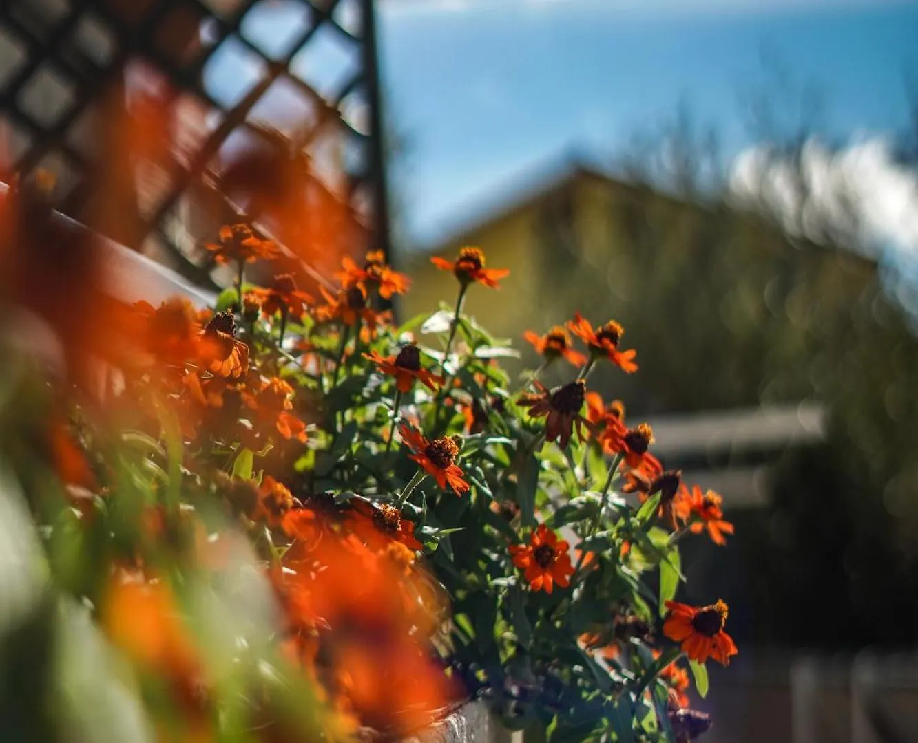 Agriturismo La Rocca Farm stay