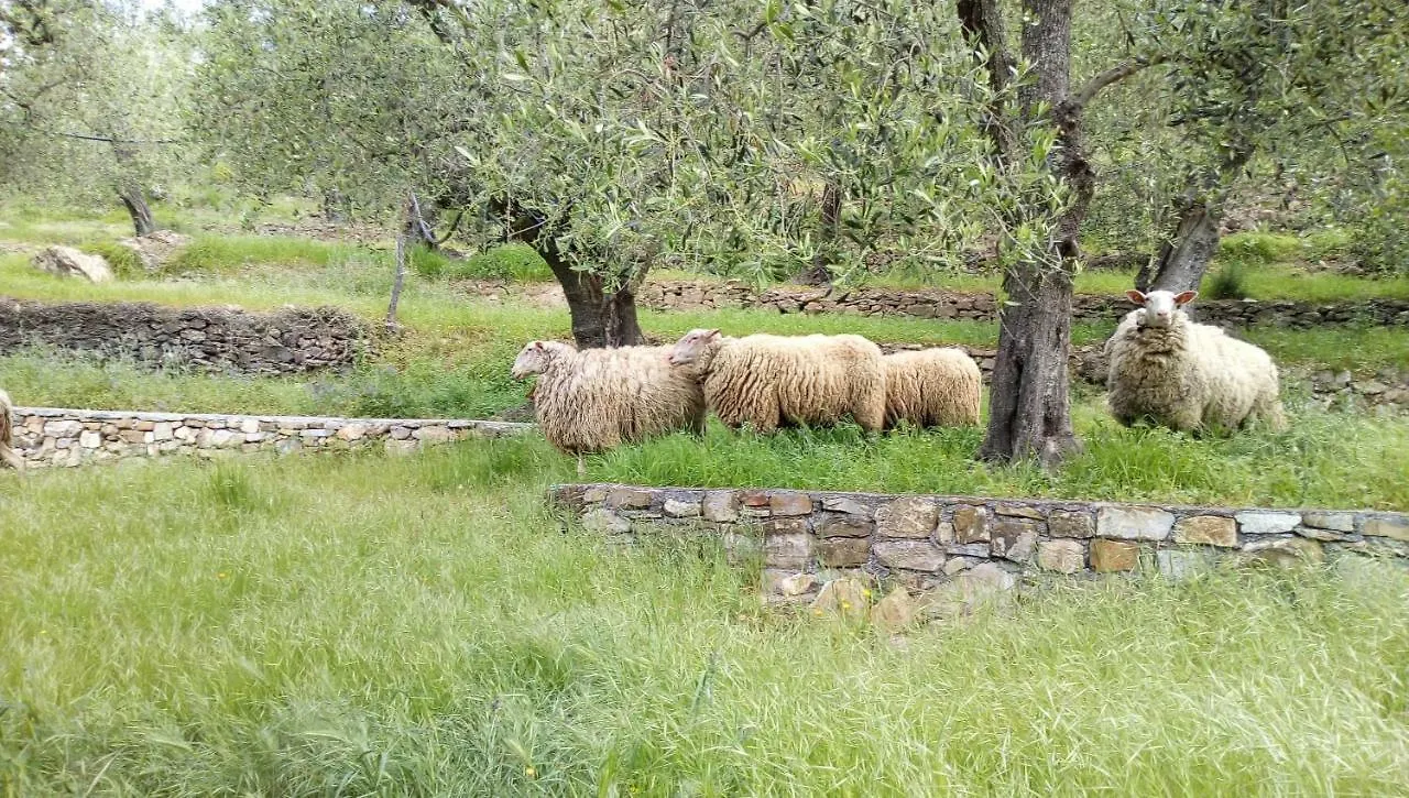 Agriturismo La Rocca San Bartolomeo Al Mare